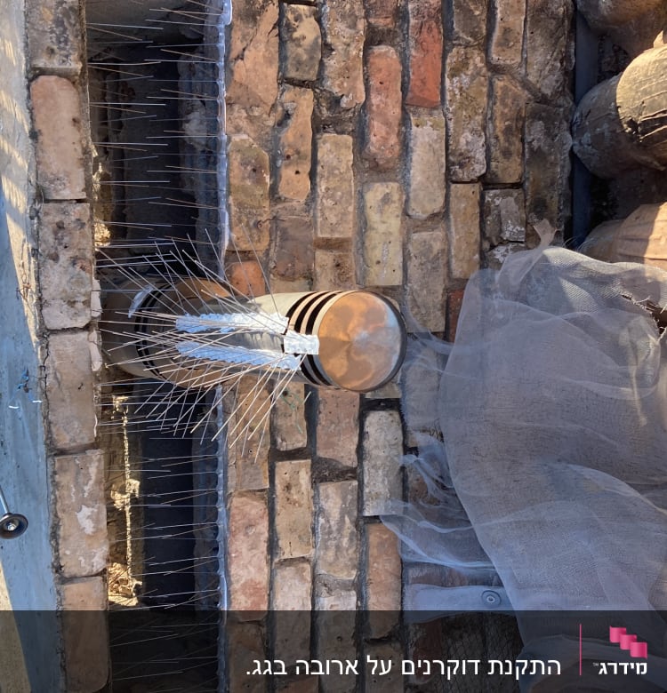 דוקרנים ורשת על גג למניעת יונים